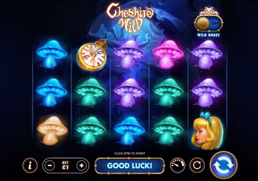 Cheshire Wild - partycasino-spain