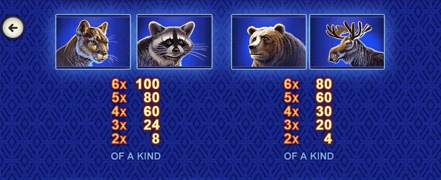 Buffalo Blitz Megaways Featured Symbols - partycasino-spain