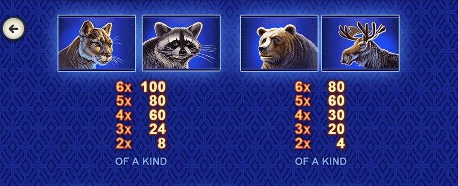 Buffalo Blitz Megaways Featured Symbols - partycasino-spain